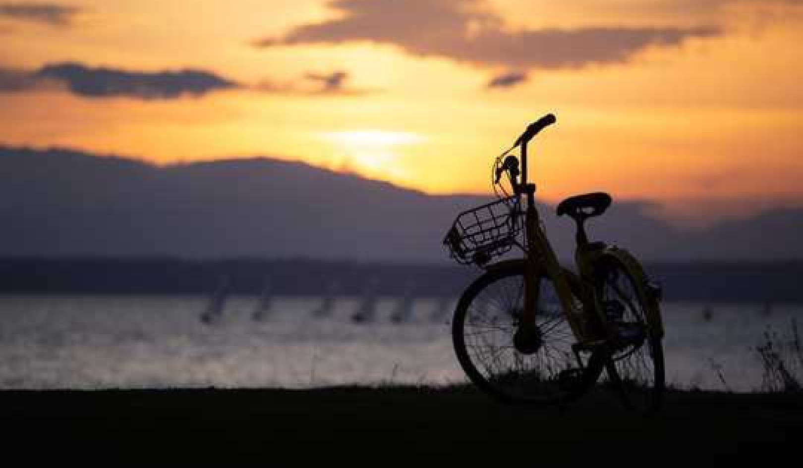 Bike Sharing Isn't Just For Rich Hipsters