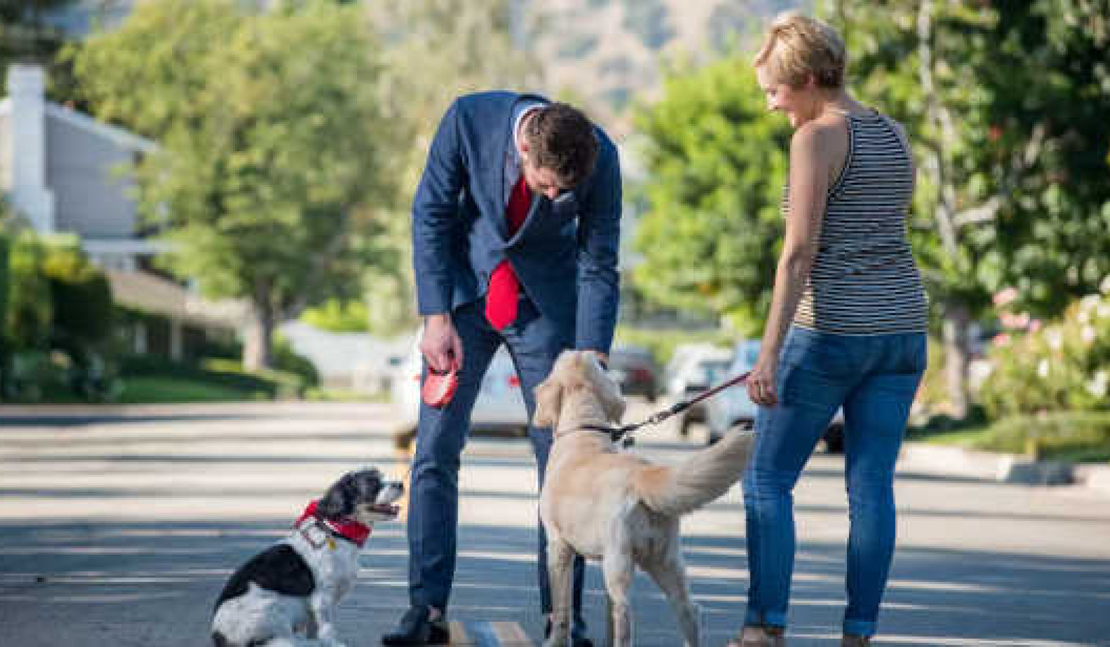 How Pets Build Trust Among People