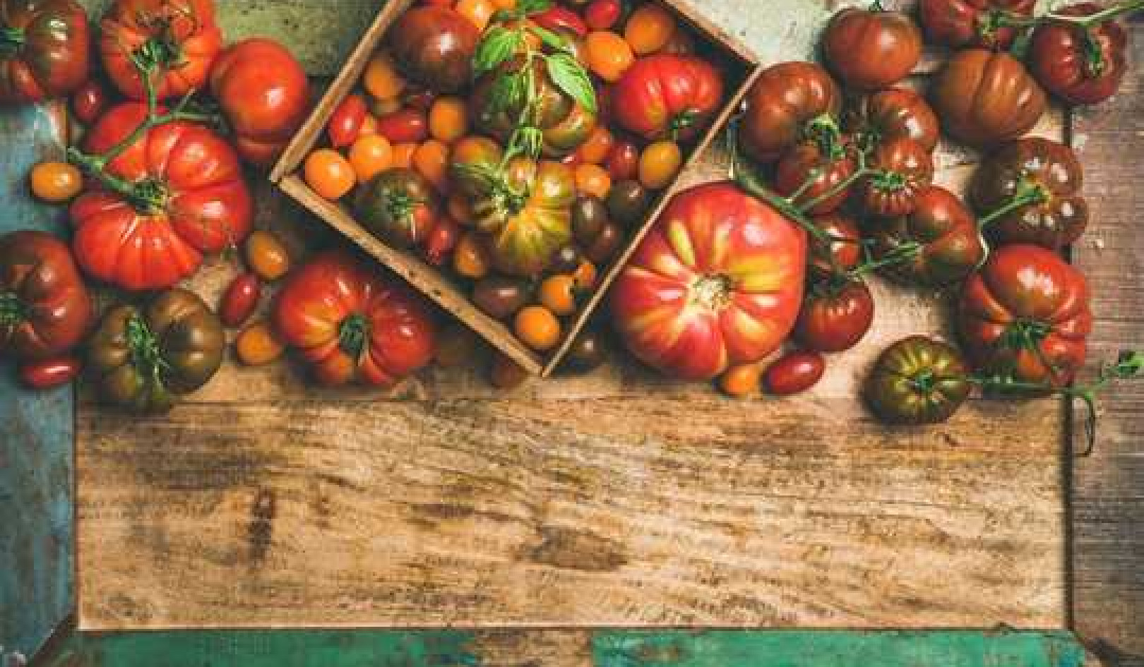 Modern Tomatoes Are Very Different From Their Wild Ancestors