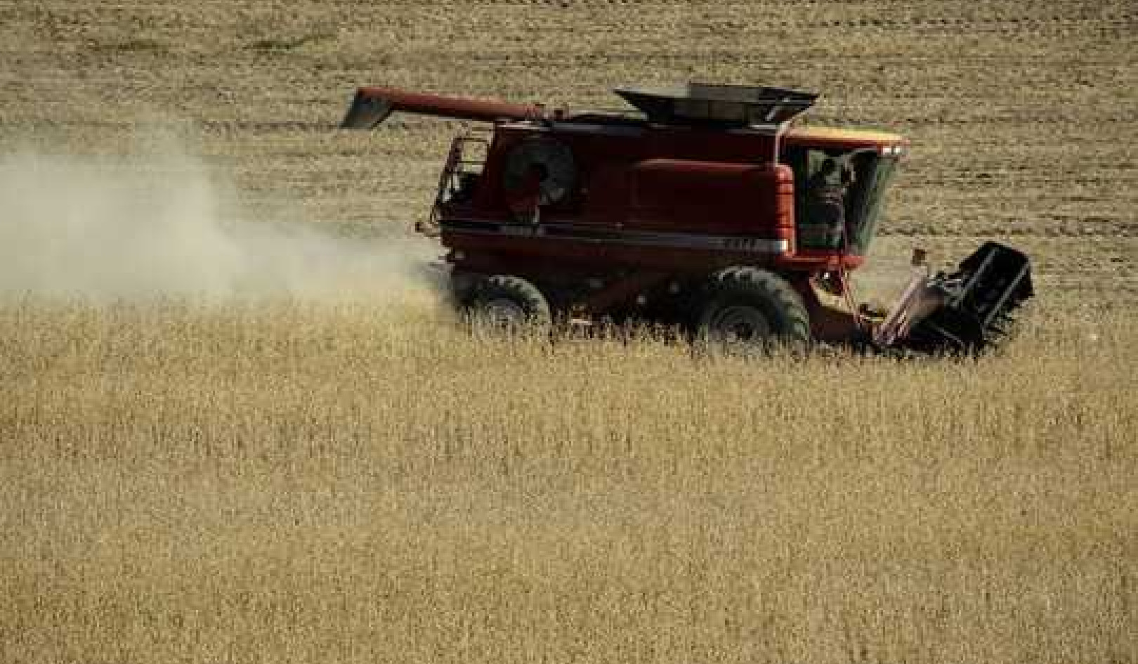 3 Reasons Midwest Farmers Hurt By The U.S.-China Trade War Still Support Trump