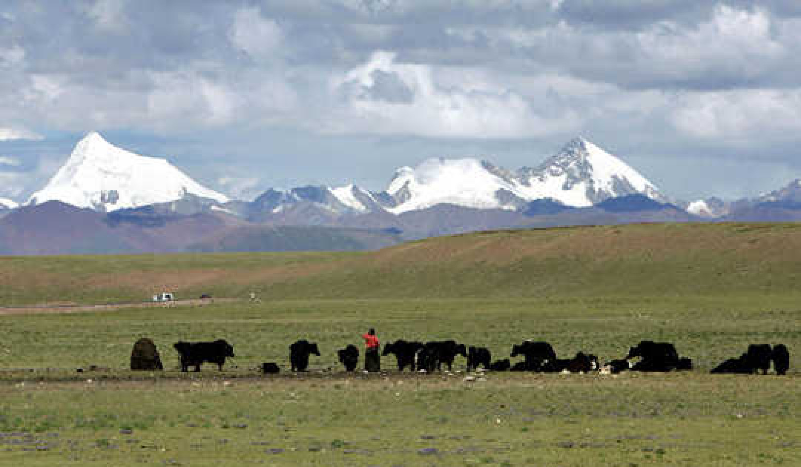 Ancient Sludge Under Permafrost Indicates Earth’s Future