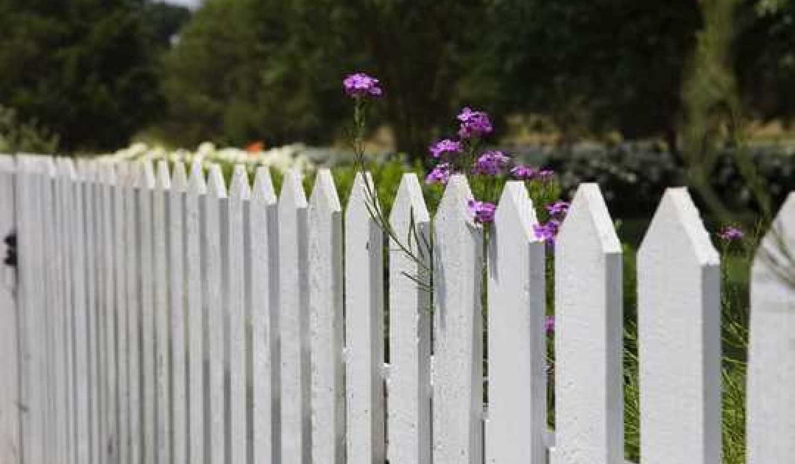 Demolish Your Front Fence. It Would Be An Act Of Radical Kindness