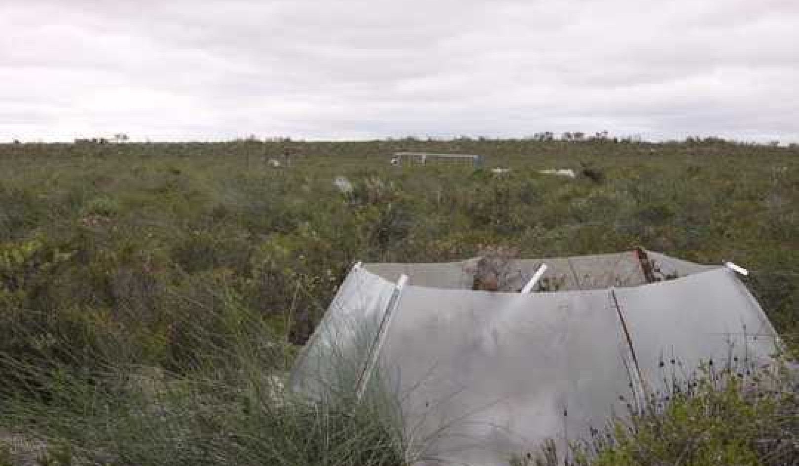 We Built A Network Of Greenhouses And Rain Shelters To Simulate What Climate Change Will Do To Soils