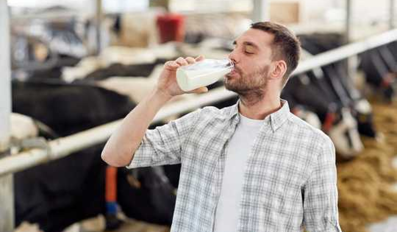 Benefits Of Raw Milk vs. Dangers Of Raw Milk