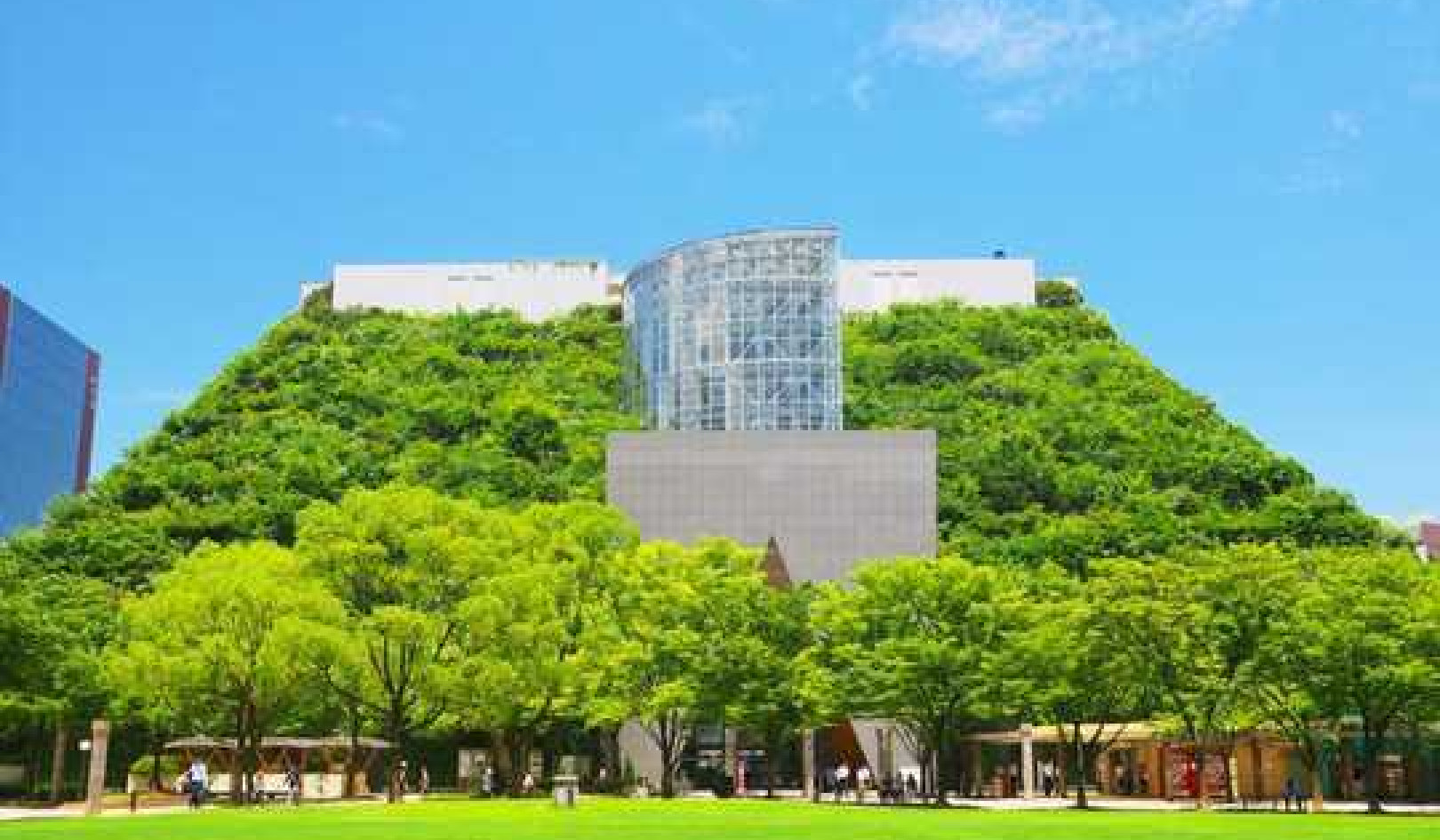 How Green Roofs Can Protect City Streets From Flooding