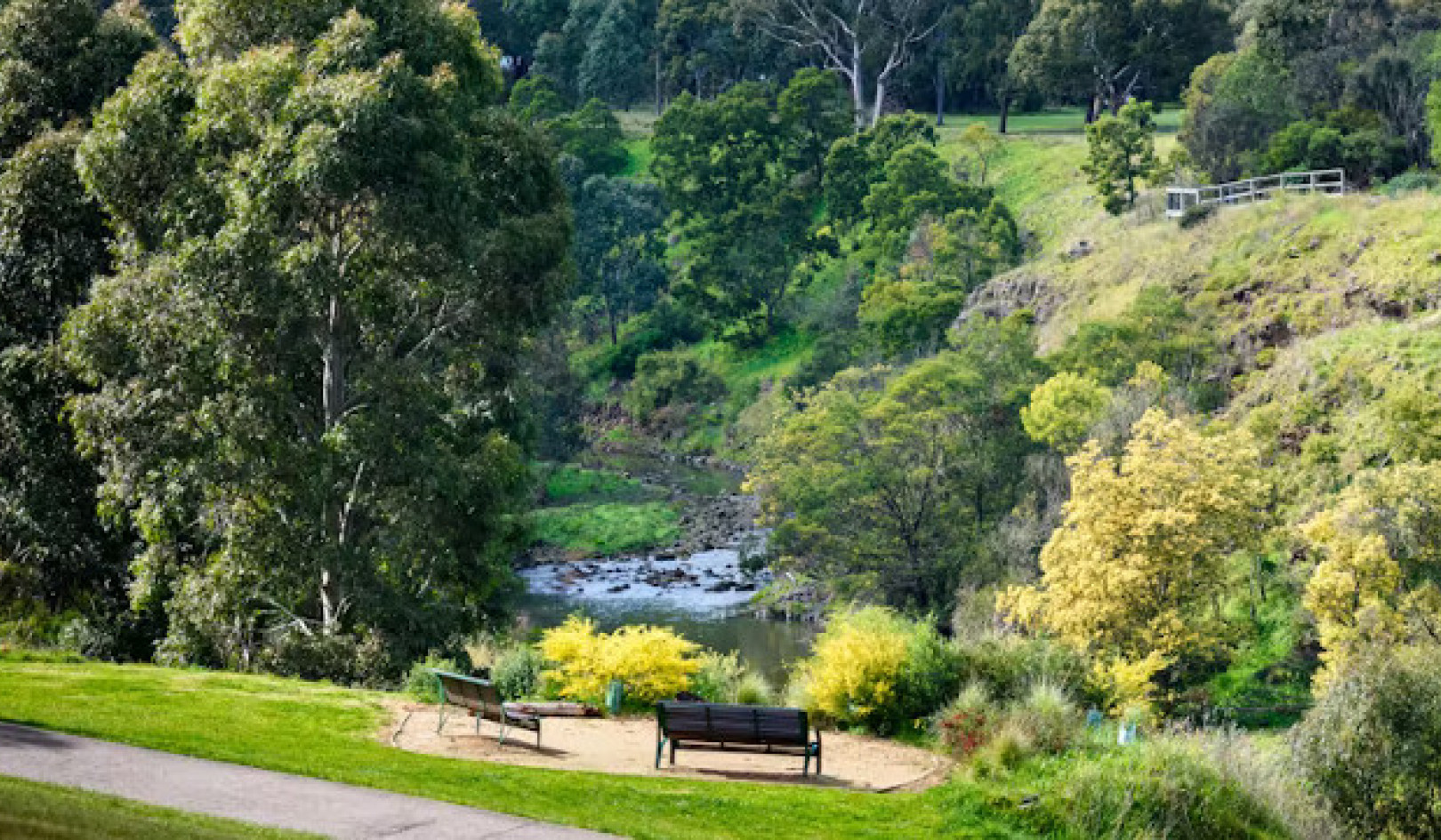 Making Merry: How We Revived Melbourne's Merri Creek