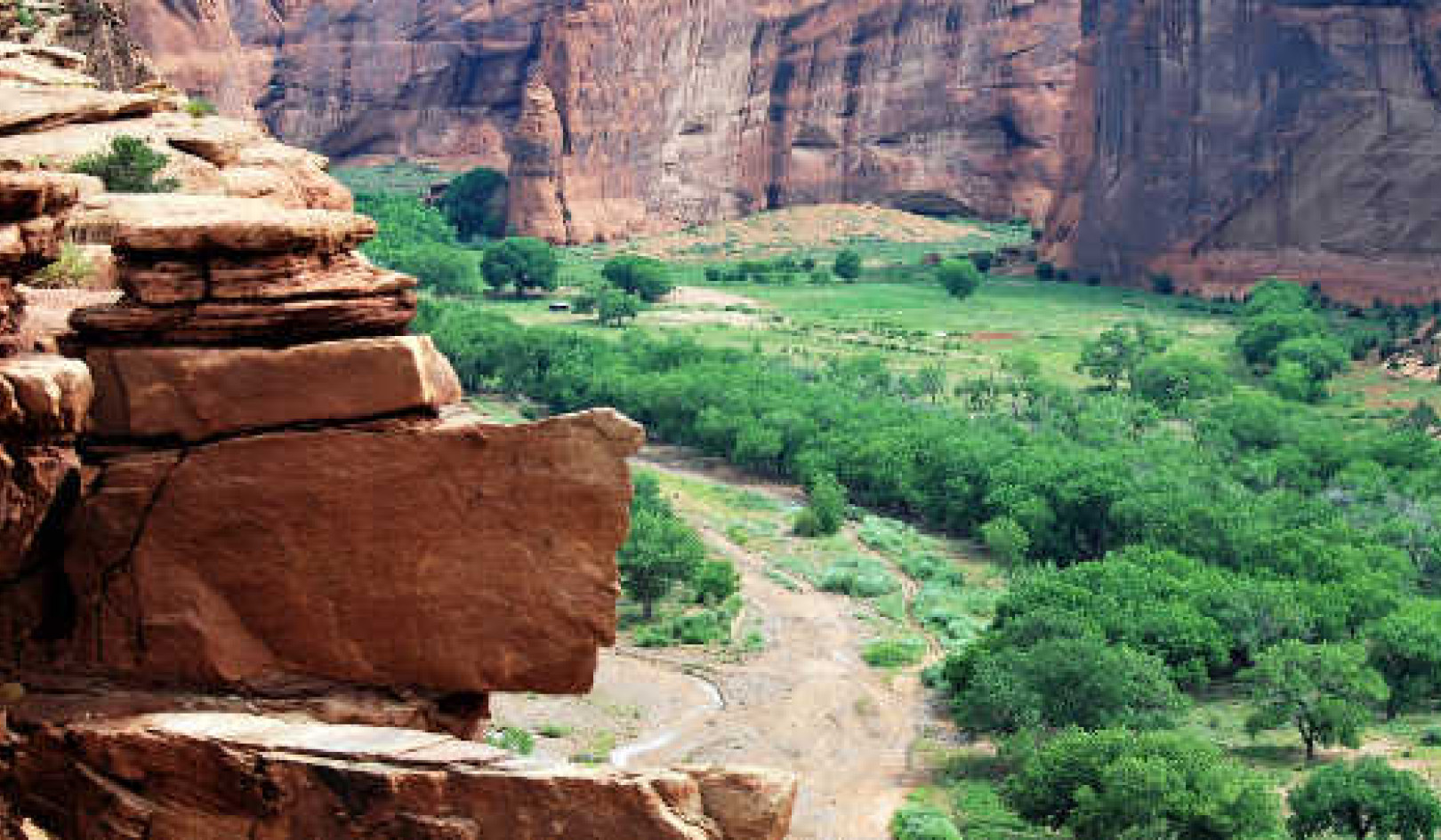 My Mountain Lion Experience in Canyon de Chelly: Nightmare or Spirit Guide?