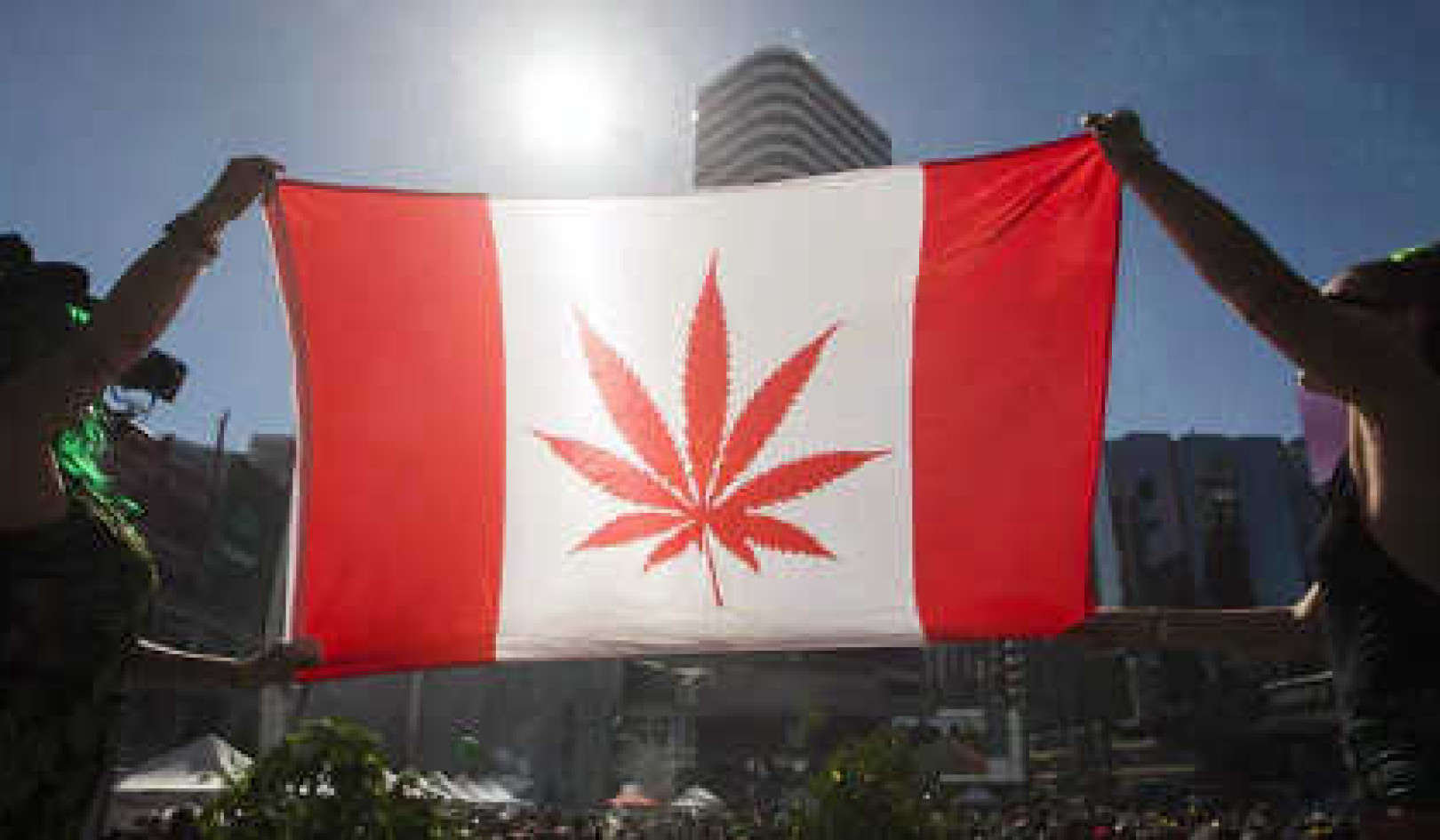 Reasons Canada's Legalization Of Cannabis Is A Success