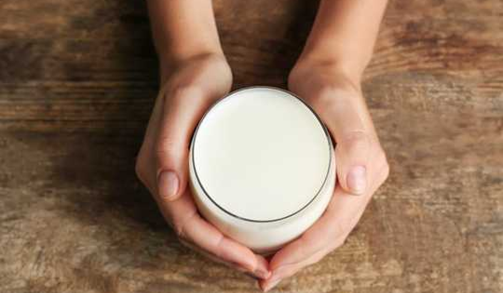 Camel Milk Reduces Cell Inflammation Associated With Type 2 Diabetes