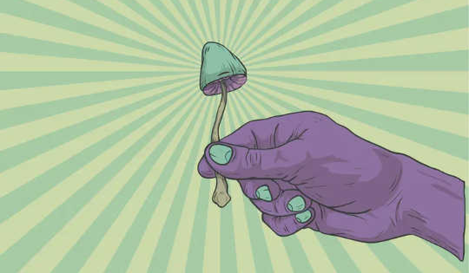 Liberty Cap: The Surprising Tale Of How Europe's Magic Mushroom Got Its Name