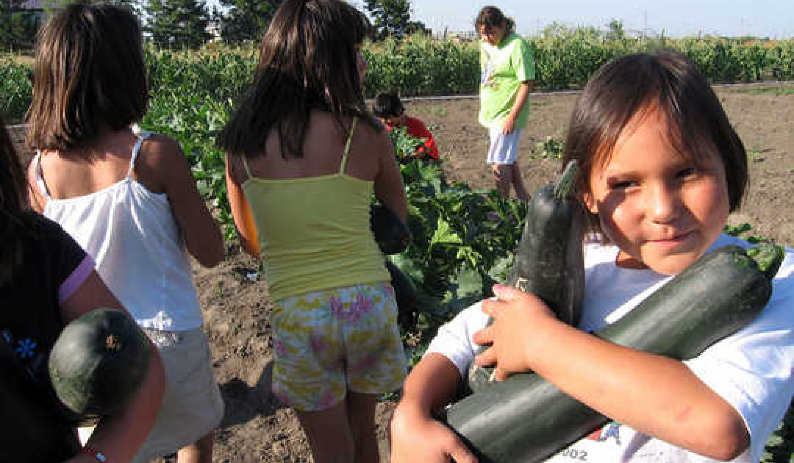 Some Gardening Advice from Indigenous Food Growers