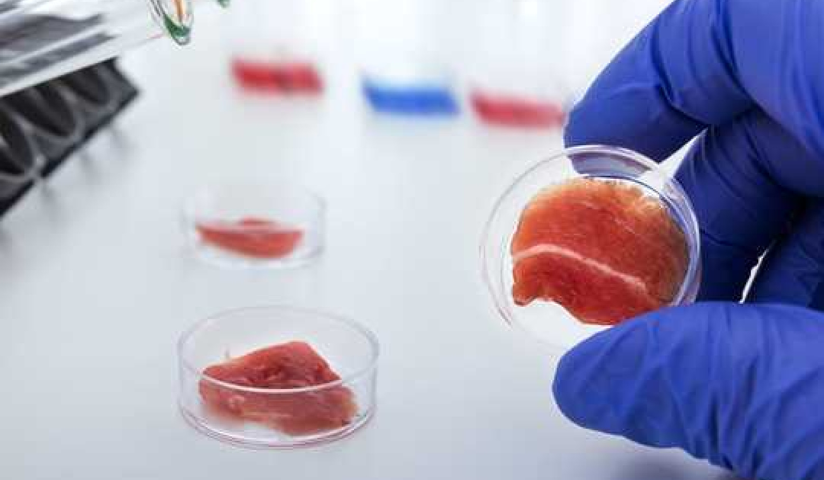 Should Lab-grown Meat Be Labelled As Meat When It's Available For Sale?