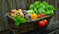 a basket of vegetables