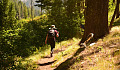 woman hiking on a forest trail