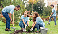 community gardening 9 28