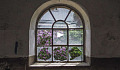 wild flowers seen through the broken glass of a cathedral window