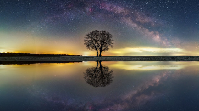 a tree reflected in the calm waters