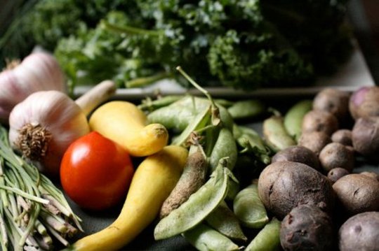 Organic Farming Techniques Are Closing Gap On Conventional Yields Organic Farming Techniques Are Closing Gap On Conventional Yields