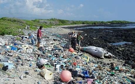 In The Ocean, The Most Harmful Plastic Is Too Small To See In The Ocean, The Most Harmful Plastic Is Too Small To See