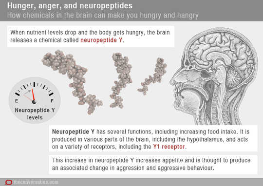 hunger and anger4