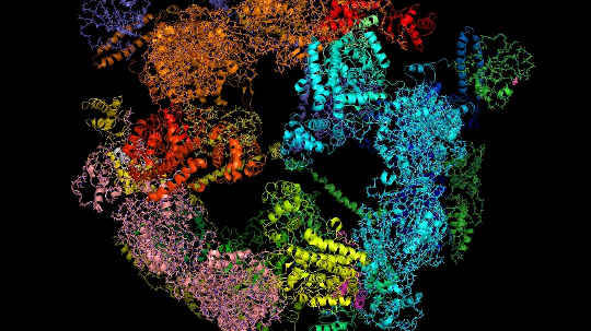 This Cell Fat Discovery Could Ease Inflammation and Complications For Diabetics