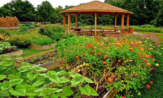 Philadelphia Hospital Prescribes Fresh Food From Its Own Farm