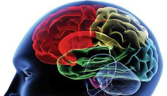 Is Addiction A Brain Disease?