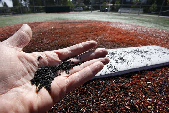 The crumbs of artificial turf. Various pigments are used to provide the green color of the blades. These can include lead or titanium for the white lines and still other metals for school logos on the field.