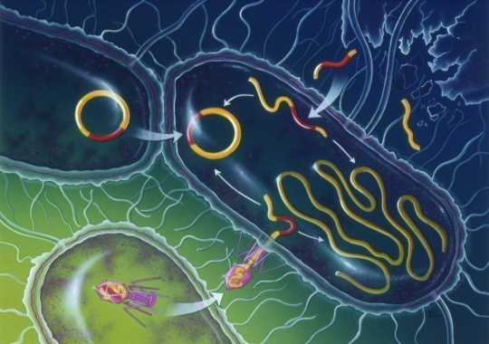 How Parasites And Bacteria Could Be Changing The Way You Think And Feel