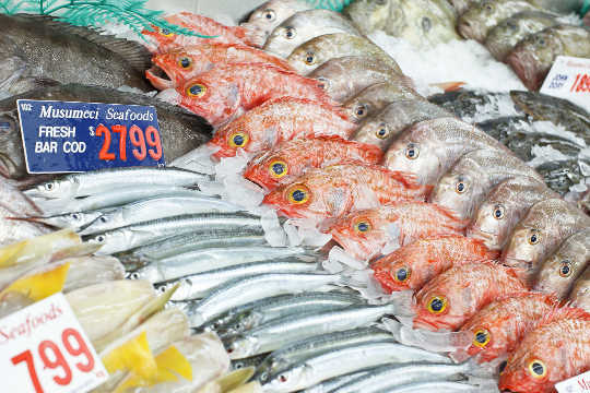 Mislabeled Fish Are Showing Up In Lots Of Sushi