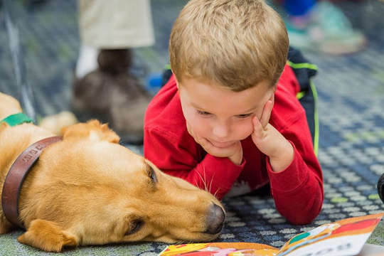 Therapy Dogs Can Help Reduce Student Stress, Anxiety And Improve School Attendance