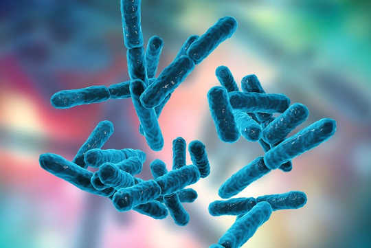 Is It Safe To Use Probiotics And Prebiotics To Treat Disease?