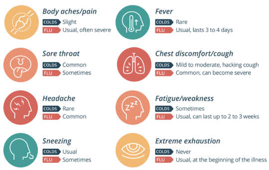 A Strong Immune System Helps Ward Off Colds And Flu, But It's Not The Only Factor