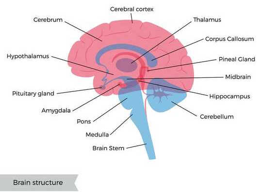 how-your-brain-approaches-tricky-tasks