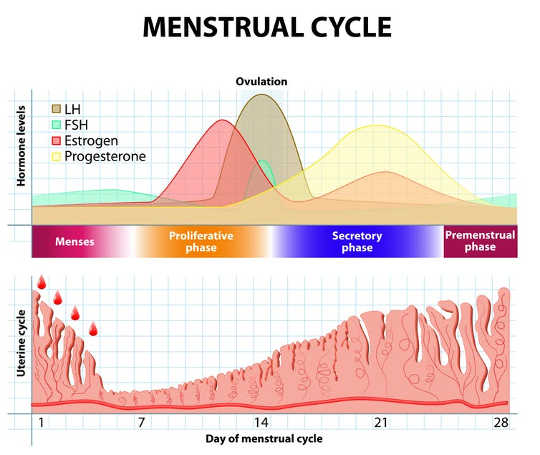 Contraception: The Way You Take The Pill Has More To Do With The Pope Than Your Health