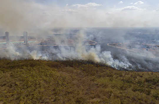 Amazon Fires Trap Farmers Into Poverty and Into Setting More Fires