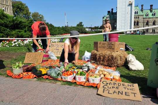 Climate Action Shouldn't Mean Choosing Between Personal And Political Responsibility
