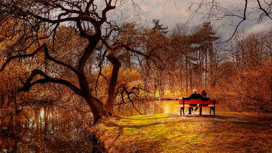 Can Love Make You Whole? Discovering the Sacred Connection Can Love Make You Whole? Discovering the Sacred Connection