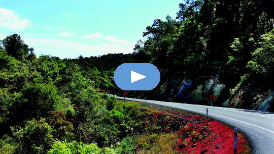 curving road in New Zealand