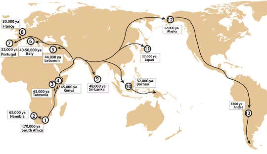 Diffusion of Bow and Arrow out of Africa.