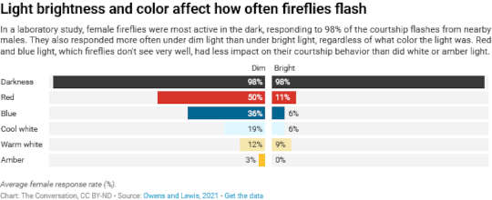 How To Help Fireflies Who Need Dark Nights For Their Summer Light Shows How To Help Fireflies Who Need Dark Nights For Their Summer Light Shows