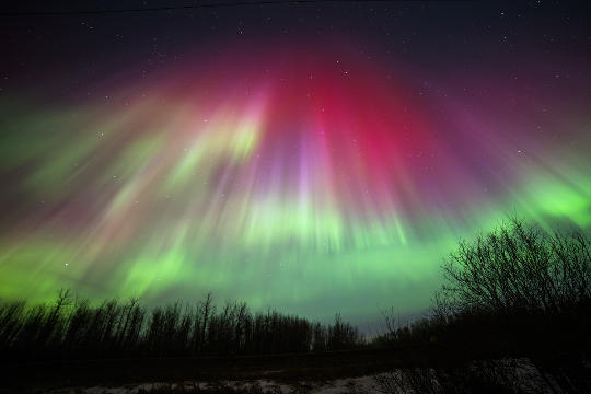 aurora borealis over Edmonton,  Alberta (Canada)