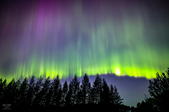 aurora borealis in Ontario, Canada