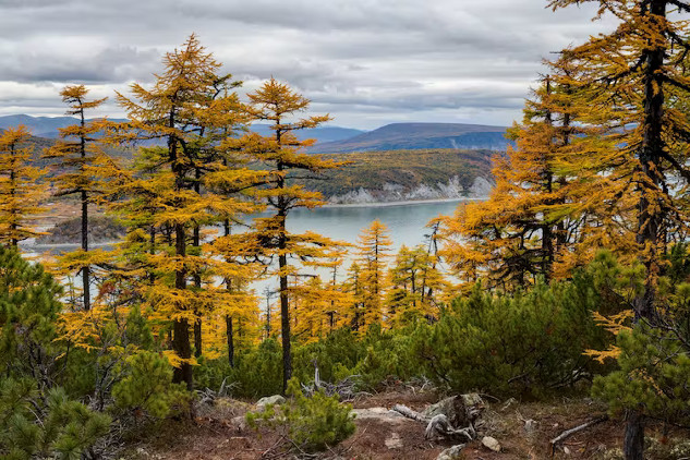 How Climate Change Is Affecting The Seasons climate change and the seasons2 10 25