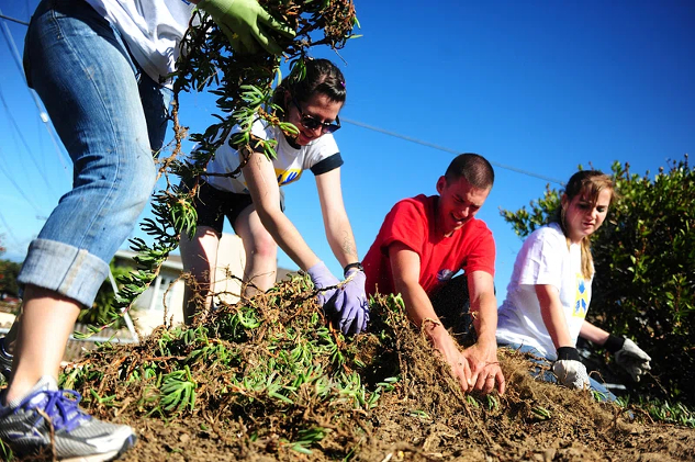 people working in a graden