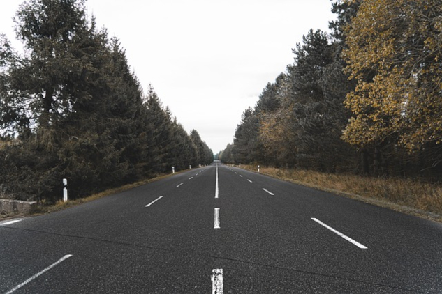 wide road with trees along the side