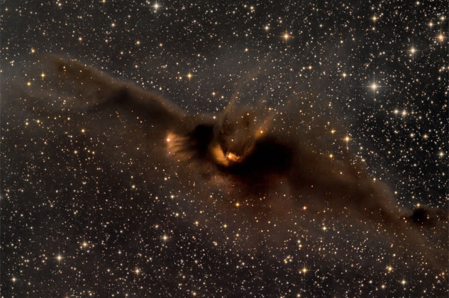 The Cosmic Bat Nebula