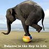 Balanced Approach to Healing: It's Not Always Either/Or