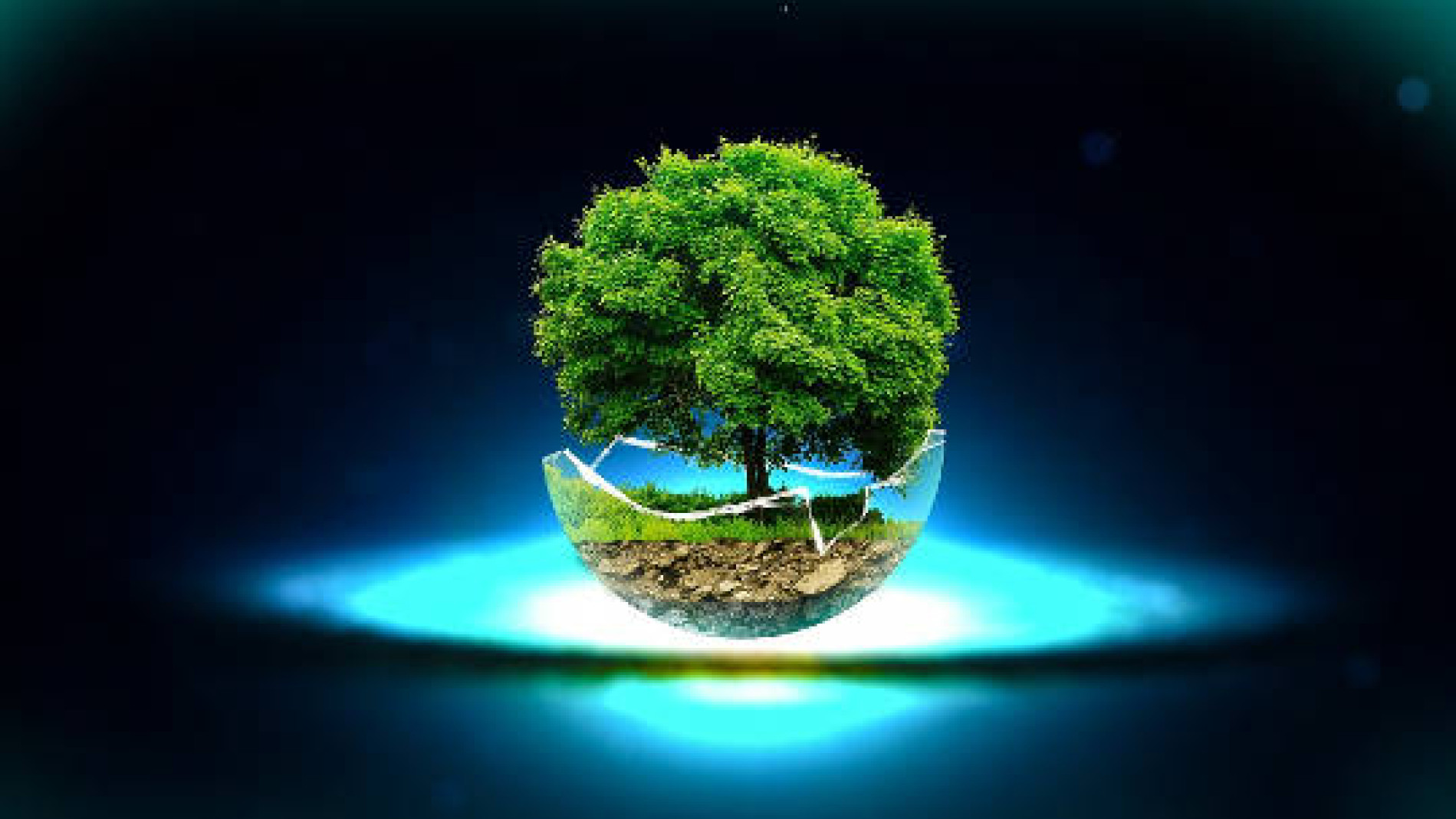 Transforming Life's Challenges into Growth Opportunities