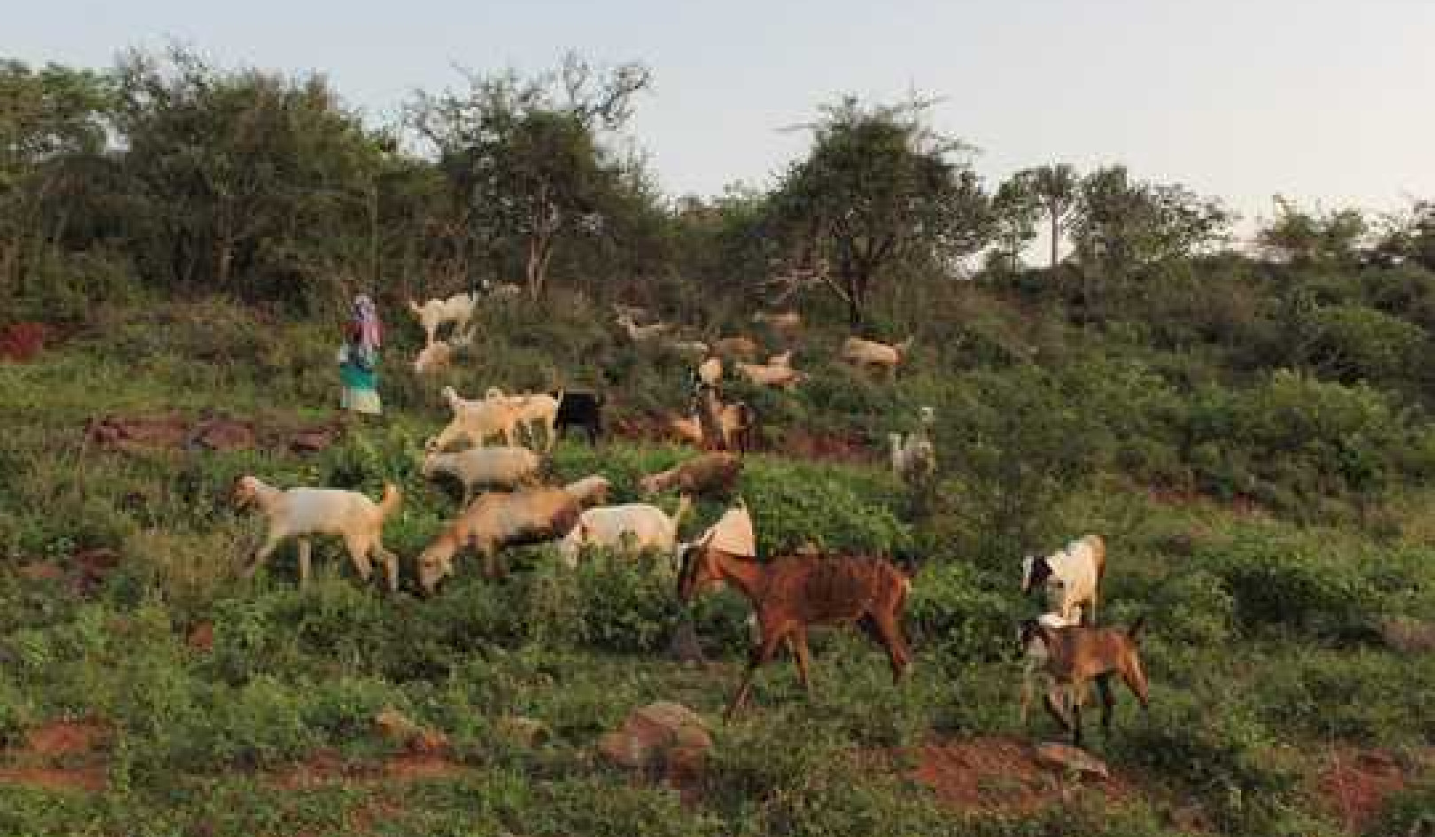 How The Climate Crisis Could Reverse Progress In Achieving Gender Equality